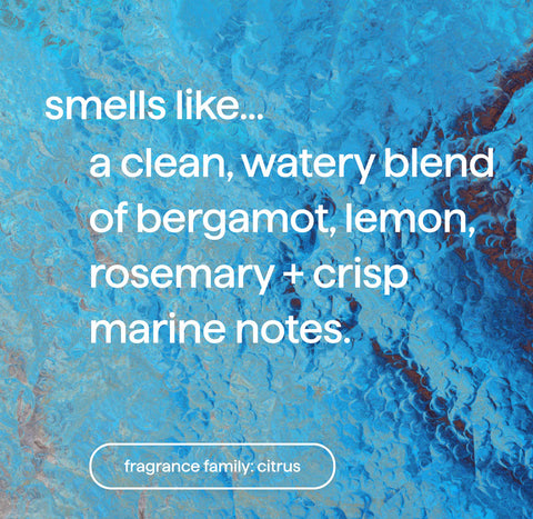 gel hand wash refill - sea minerals, 34 fl oz 1