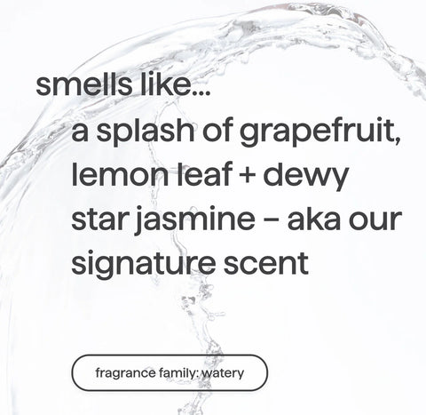 foaming hand wash refill - sweet water, 28 fl oz 1