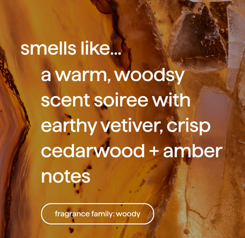 foaming hand wash refill - vetiver + amber, 28 fl oz 1