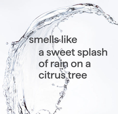 gel hand wash - sweet water, 12 fl oz