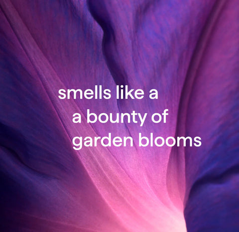 foaming hand wash starter set - violet + lavender, 38 fl oz