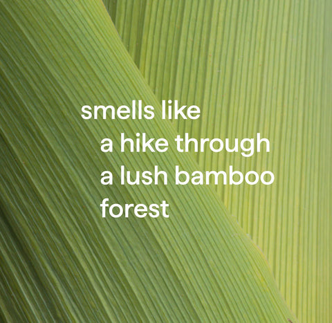 antibacterial all-purpose cleaner - bamboo, 28 fl oz