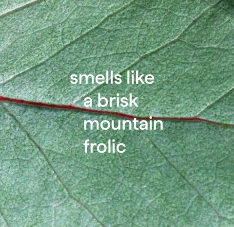 foaming tub + tile cleaner - eucalyptus mint, 28 fl oz