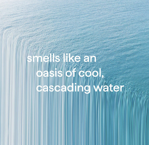 foaming hand wash - waterfall, 10 fl oz