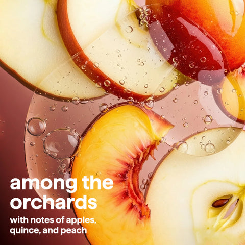 super shine liquid dish soap refill - among the orchards, 48 fl oz