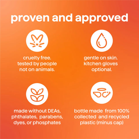 super shine liquid dish soap refill - among the orchards, 48 fl oz