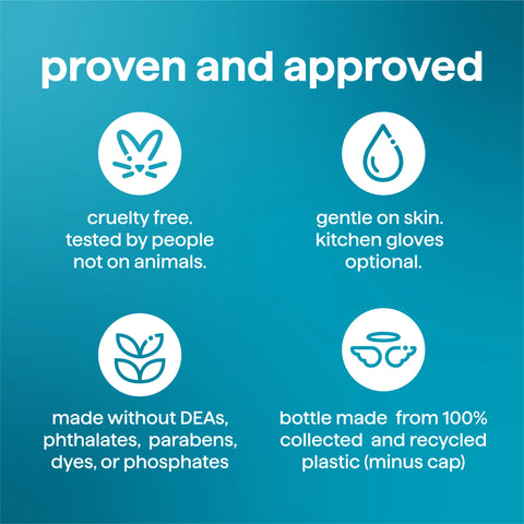 super shine liquid dish soap refill - dewy daze, 48 fl oz