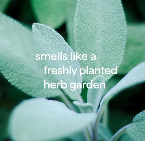 stain + odor treatment - spearmint sage, 20 fl oz