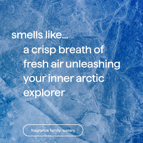 men bar soap variety duo - 4 bars